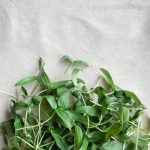 Choose nutrient-rich gardening soil for vegetables to promote healthy growth and abundant harvests