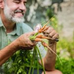 Vegetable Gardening for Profit - Tips for Success