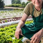 A Bountiful Harvest Awaits in Your Southern Garden