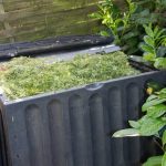 Is Spectracide Granules Safe for Vegetable Gardens Spectracide Granules for Vegetable Gardens