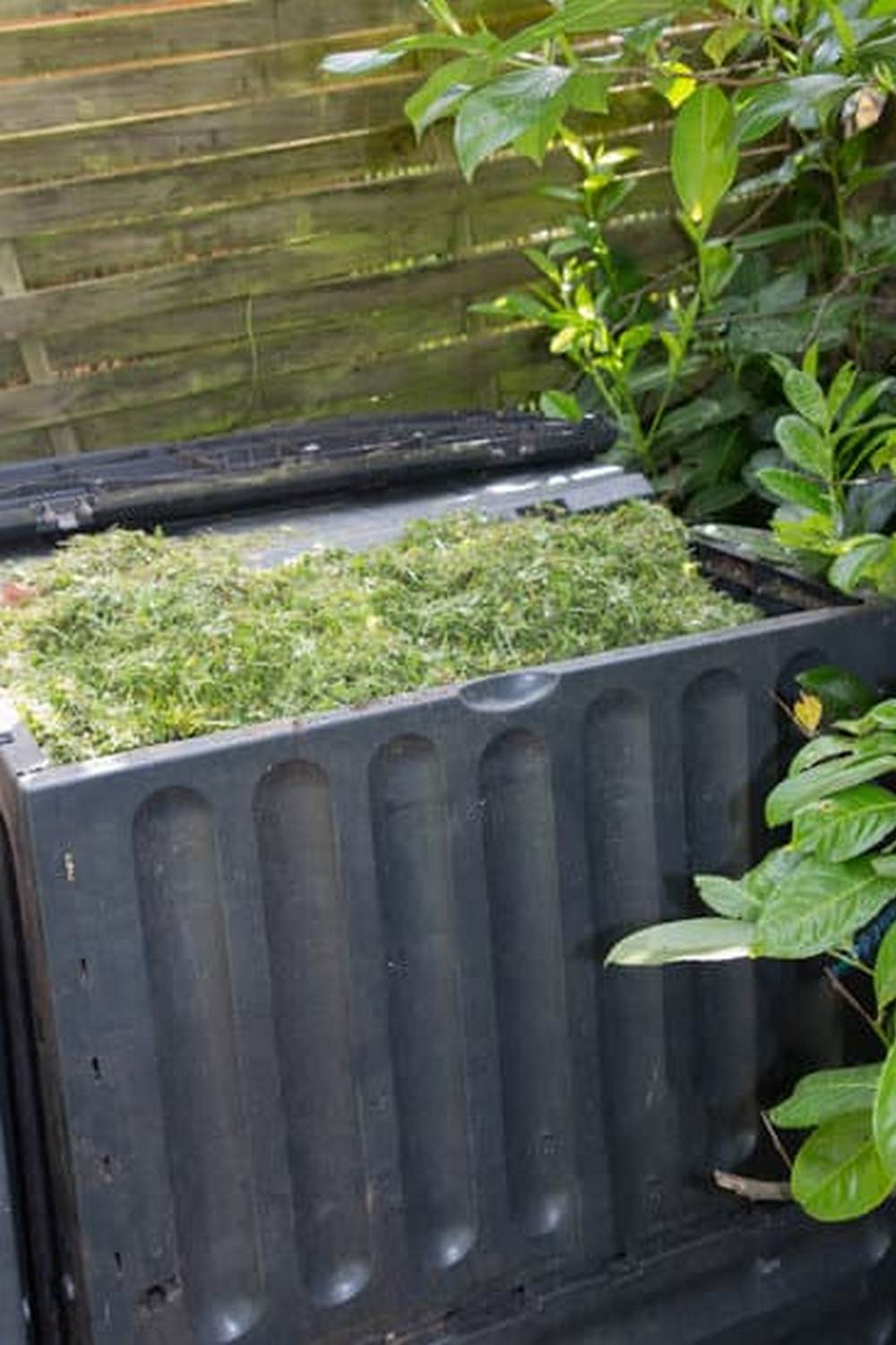 Spectracide Granules for Vegetable Gardens