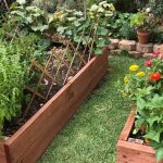 Untreated hardwood pallets ideal for raised beds