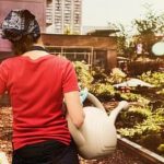 Colorful flowers protect vegetable gardens, attracting beneficial insects and adding beauty to the landscape