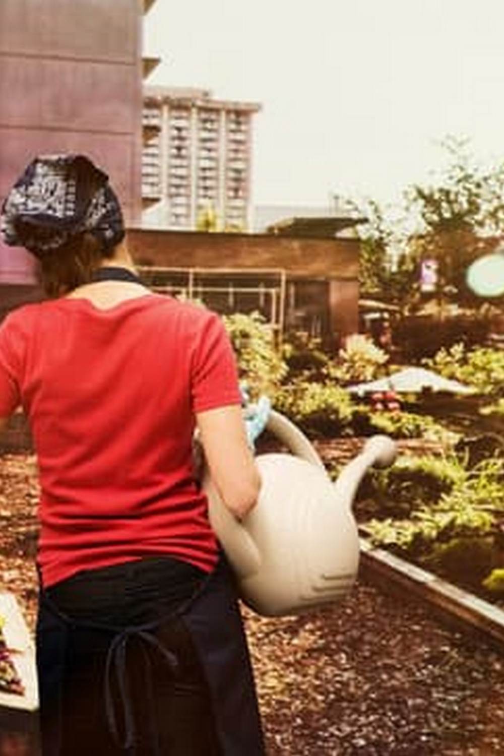 Flowers Protect Vegetable Gardens — Vegetable Gardening News