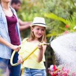 Expert Gardener Organics Vegetable and Tomato - fresh, sustainable homegrown produce for health-conscious individuals