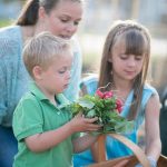 Optimal sun exposure vital for DO VEGETABLE GARDENS. Aim for full sun all day