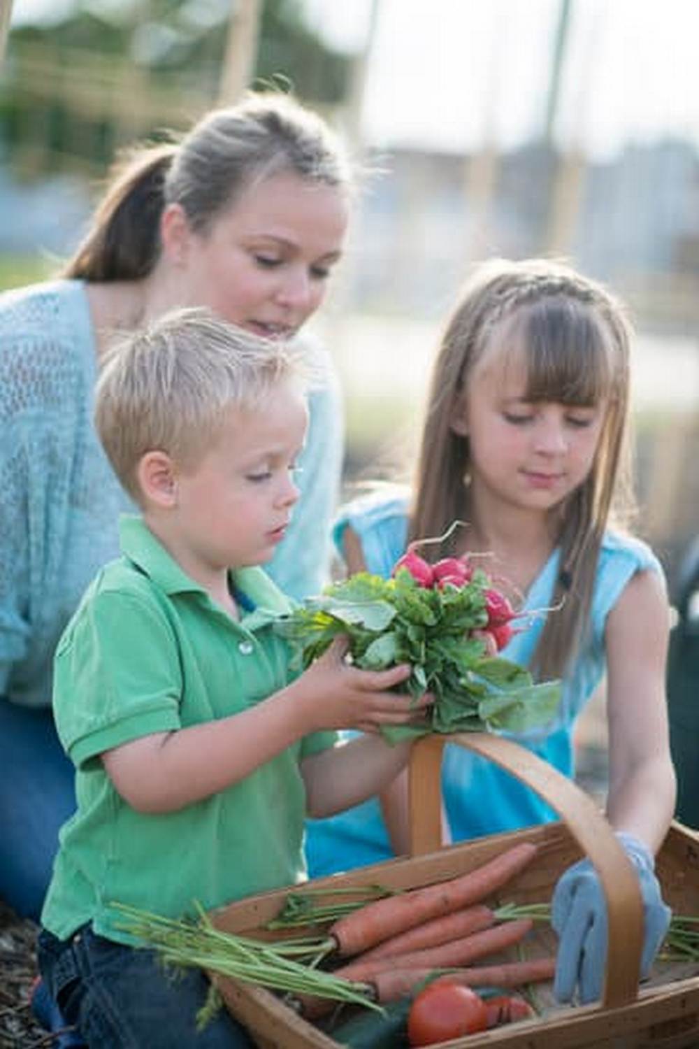 Optimal sun exposure vital for DO VEGETABLE GARDENS. Aim for full sun all day