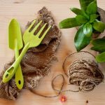 growing your own fresh produce at home