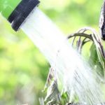 Expert tips for successful harvest in the region