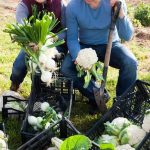 kids eating more vegetables