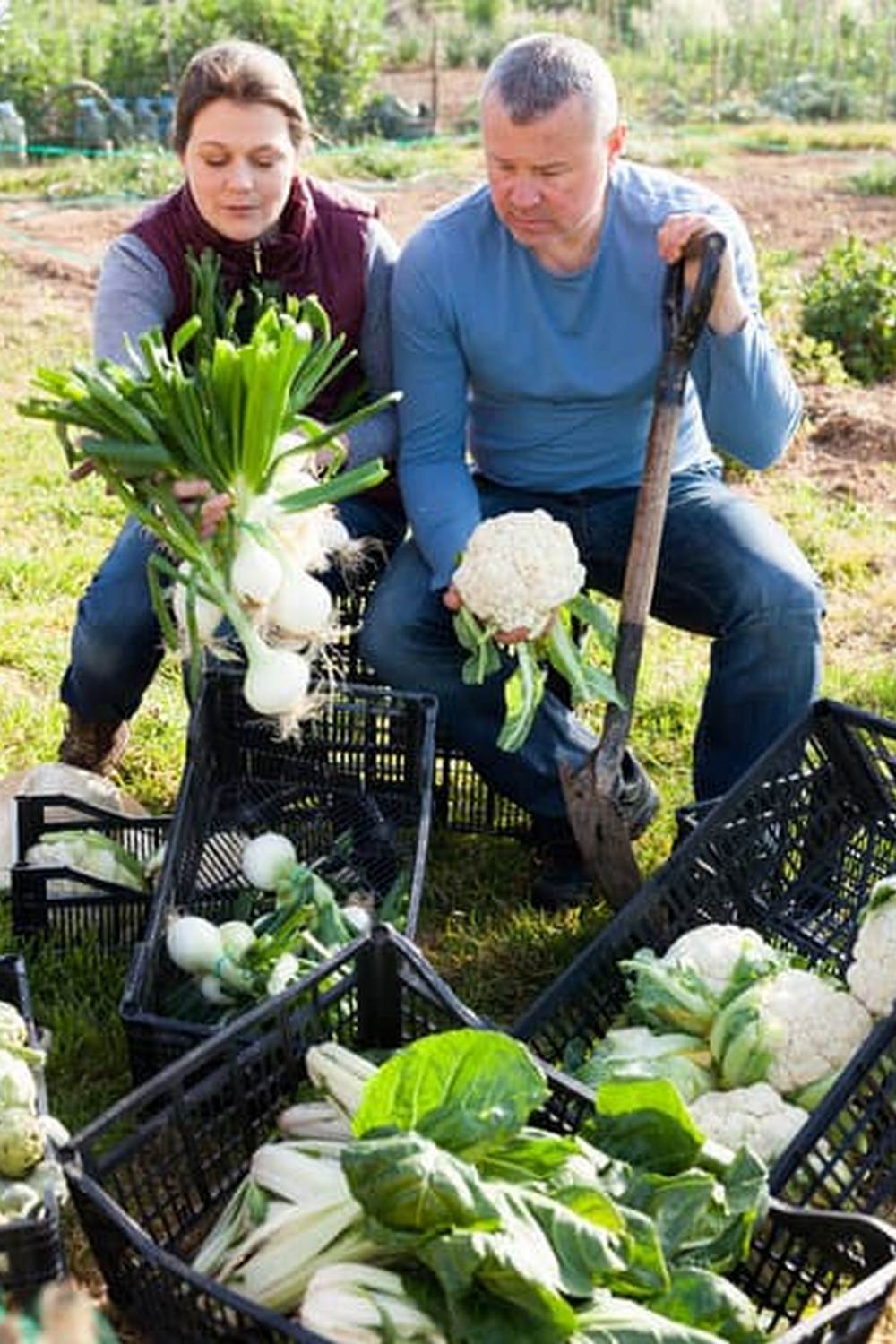 kids eating more vegetables