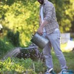 Organic gardening with fruits and vegetables, sustainable practices for home growers