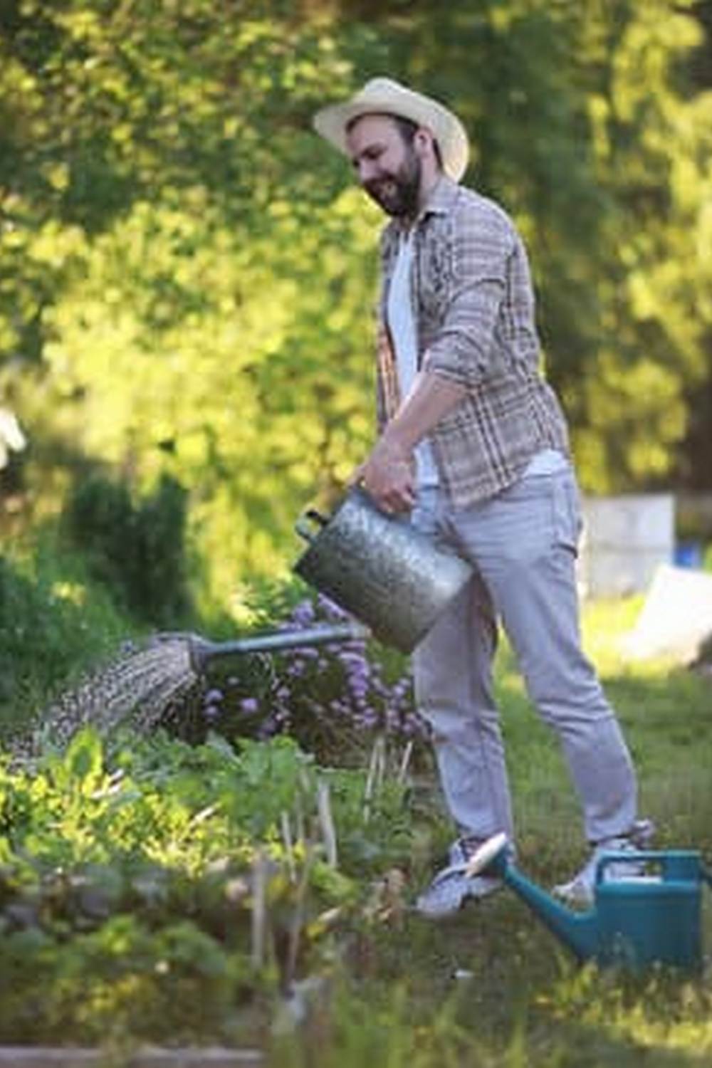 Organic gardening with fruits and vegetables, sustainable practices for home growers