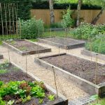 Vibrant apartment window vegetable garden showcasing herbs and veggies
