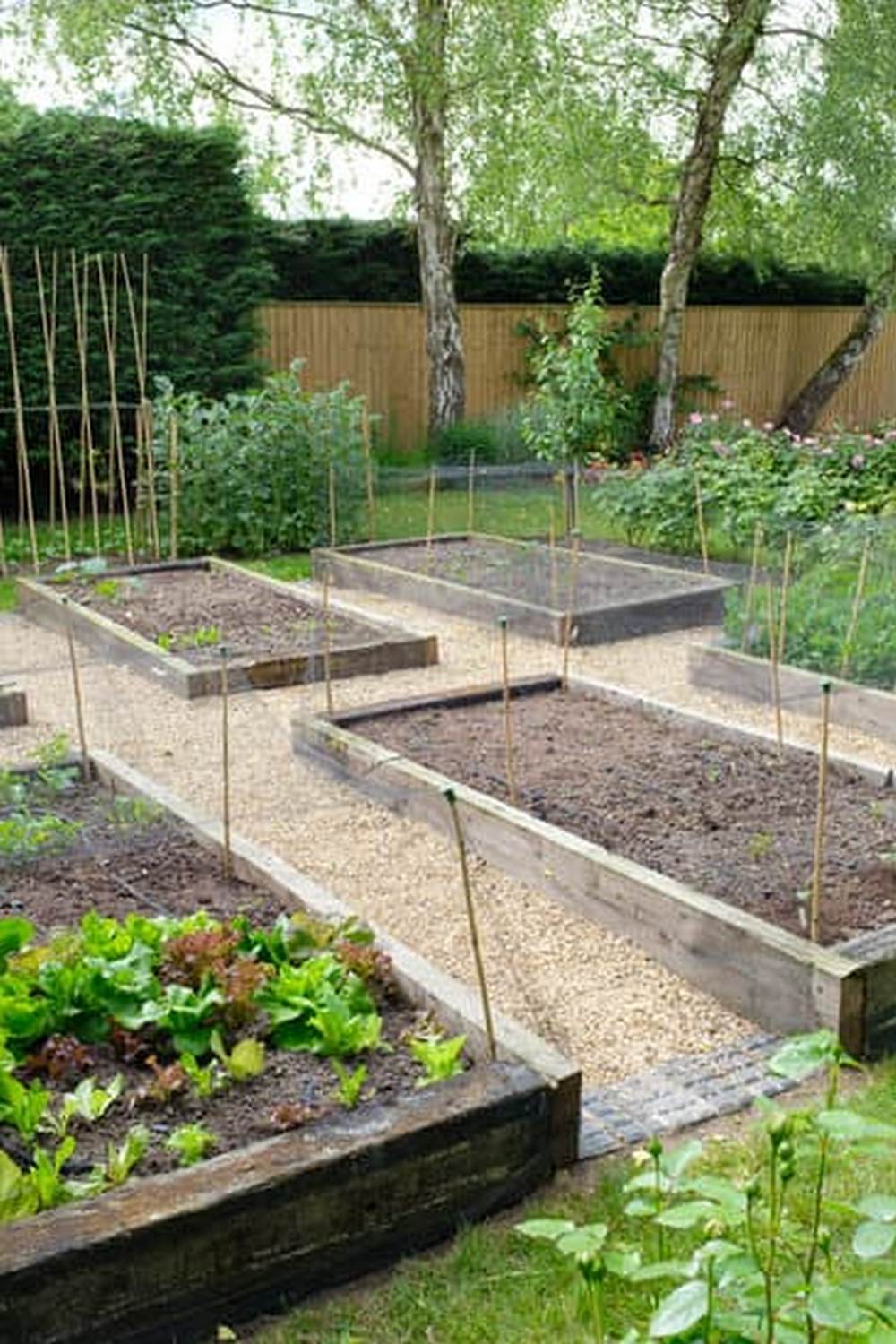Vibrant apartment window vegetable garden showcasing herbs and veggies