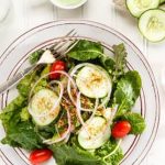 shovel, rake, gloves, pruners, and watering can