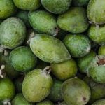 maximizing space for beautiful blooms and fresh veggies