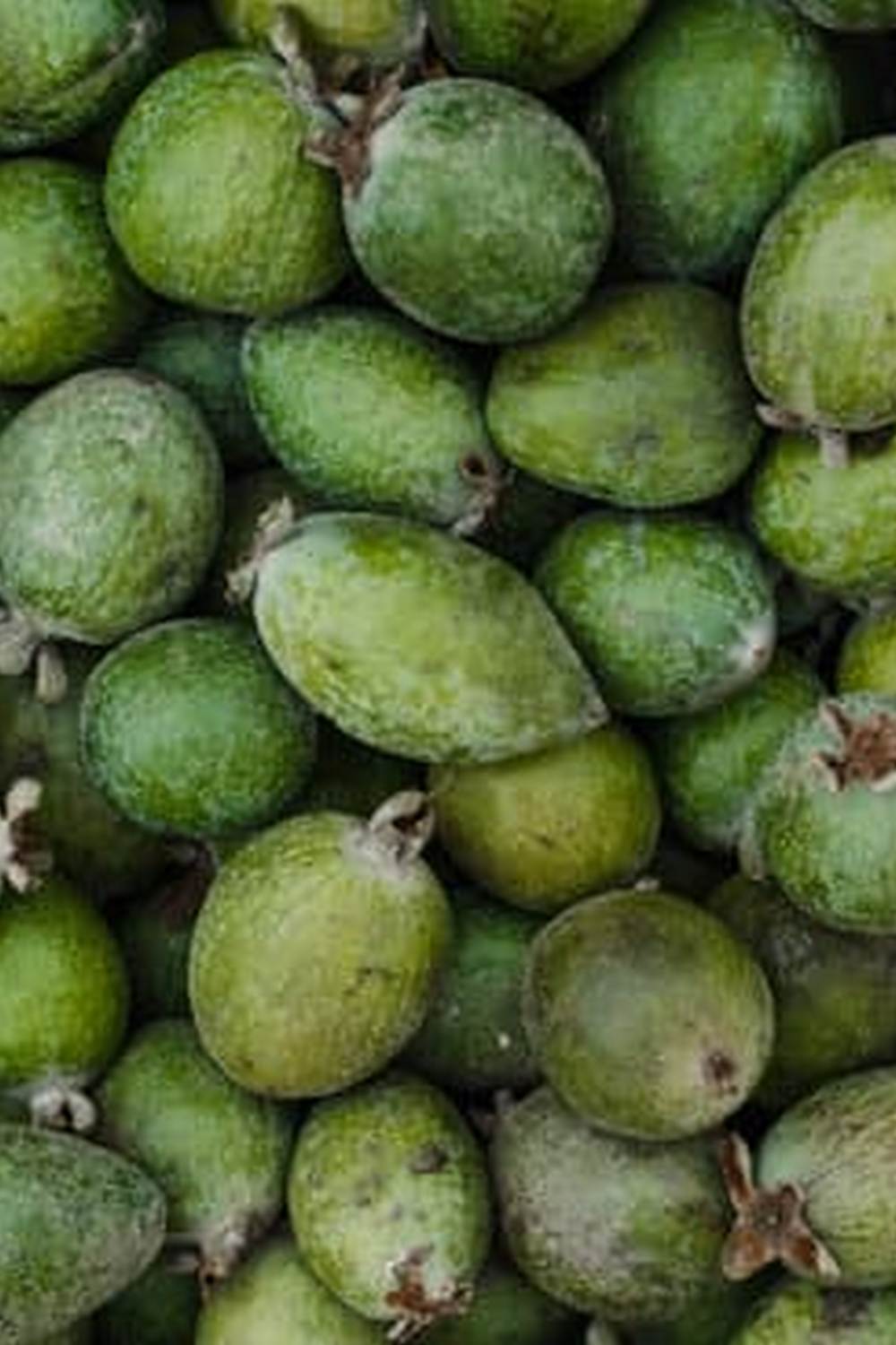 maximizing space for beautiful blooms and fresh veggies