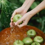 Discover the best soil for raised vegetable gardens to maximize growth and yield