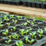 Explore creative projects in Vegetable Gardening Fun Book, ideal for beginners wanting to cultivate plants