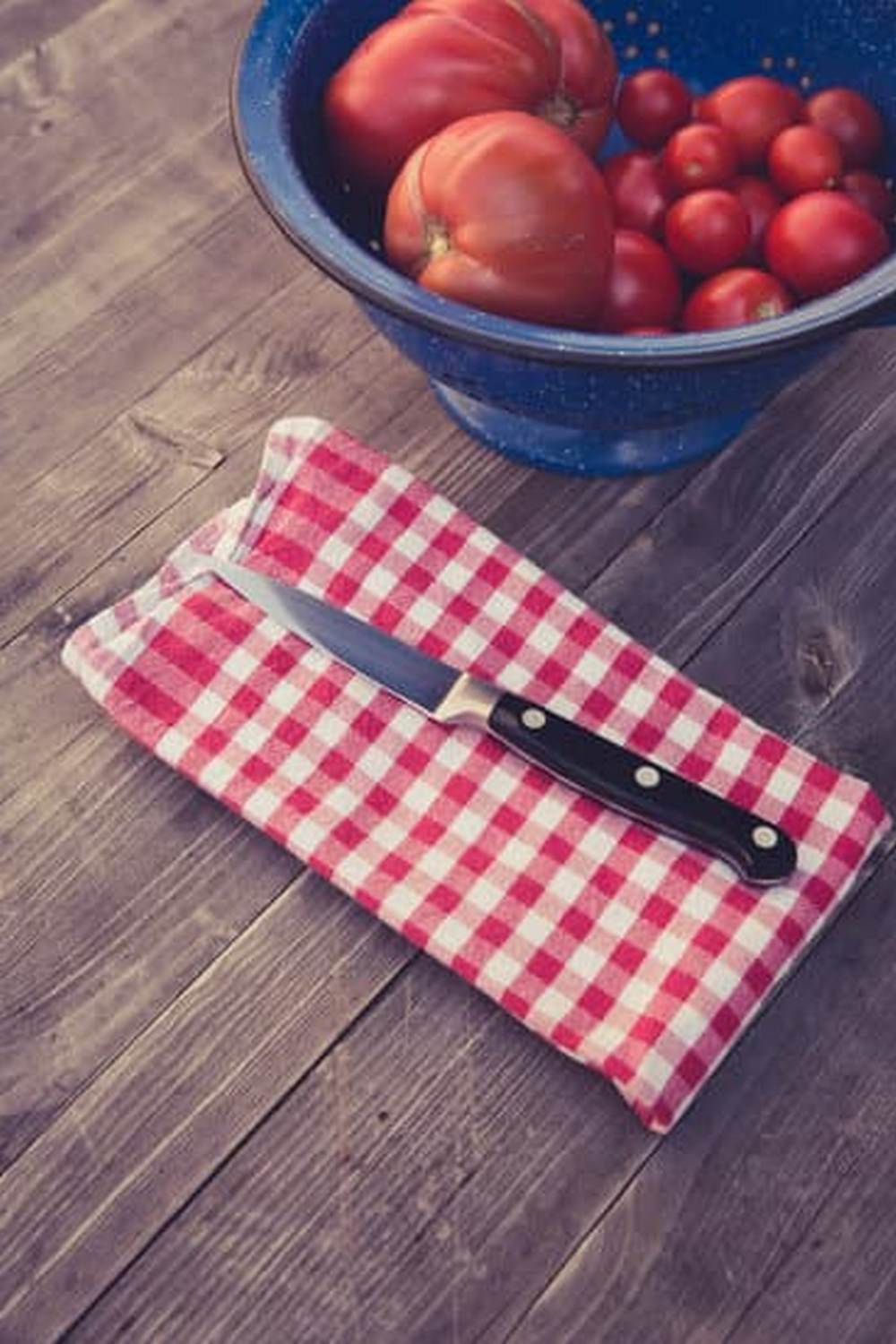 Lush vegetable garden thriving in Northern California's unique climate