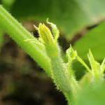 engaging, educational, and fun for all