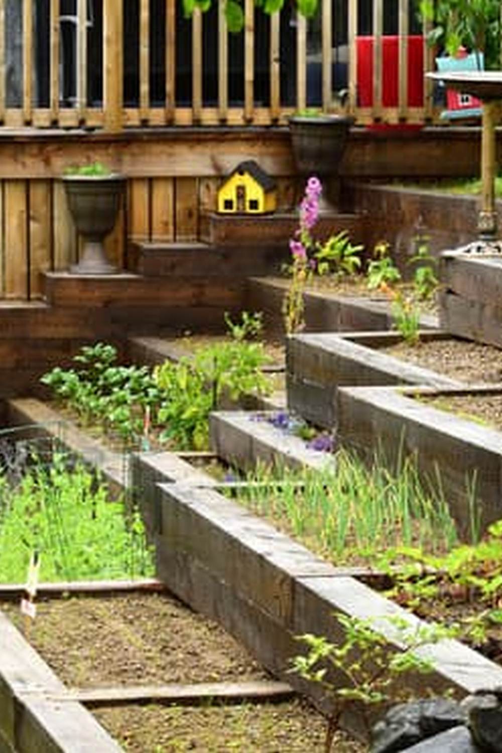 Diverse vegetables thriving under the beautiful arch structure in the garden