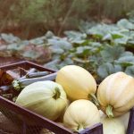 Delicious Vegetable Beef Soup recipe from Better Homes and Gardens