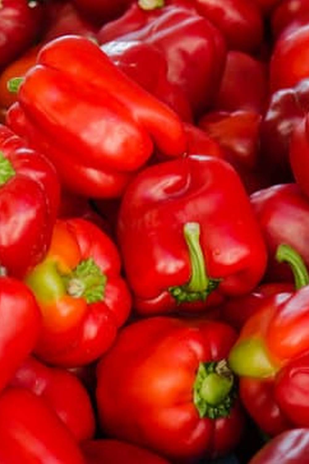 Explore Wisconsin Vegetable Gardening Guide for expert tips and advice