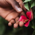 best vegetables. Create a thriving indoor garden today