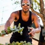 Lush vegetable garden beds bursting with fresh produce for harvest