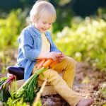Colorful fall vegetable gardens from UT Extension - harvest time delights