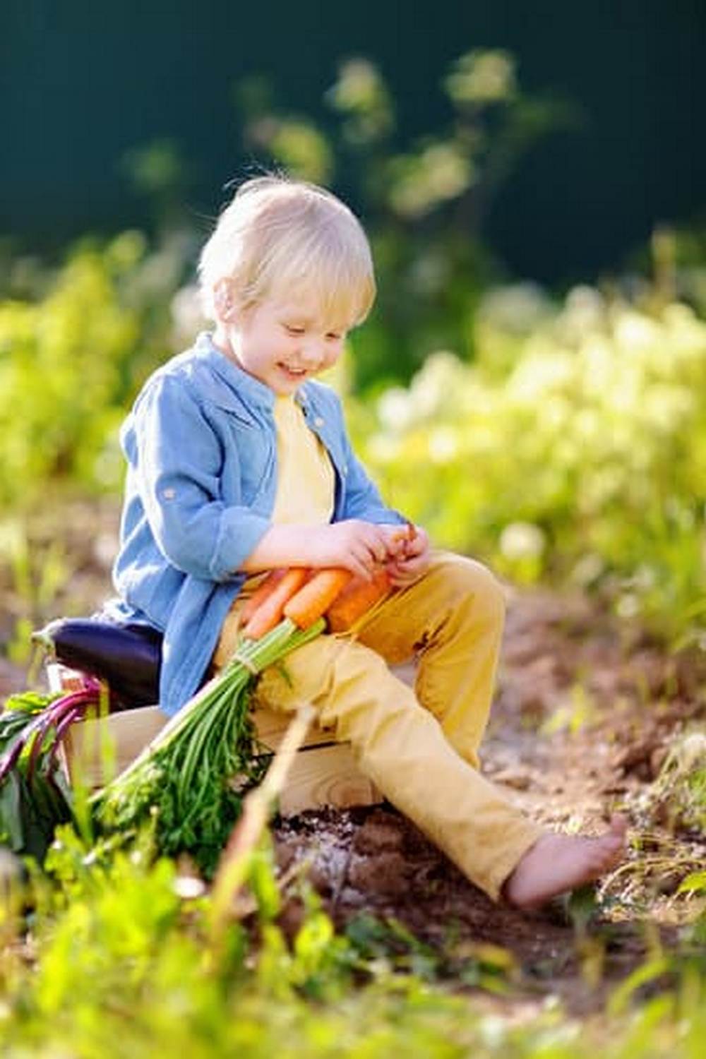 Ut Extension Fall Vegetable Gardens 1 Colorful fall vegetable gardens from UT Extension - harvest time delights