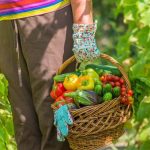 Raised Beds, Square Foot Gardening, Container Gardening, Vertical Gardening, and Traditional Rows