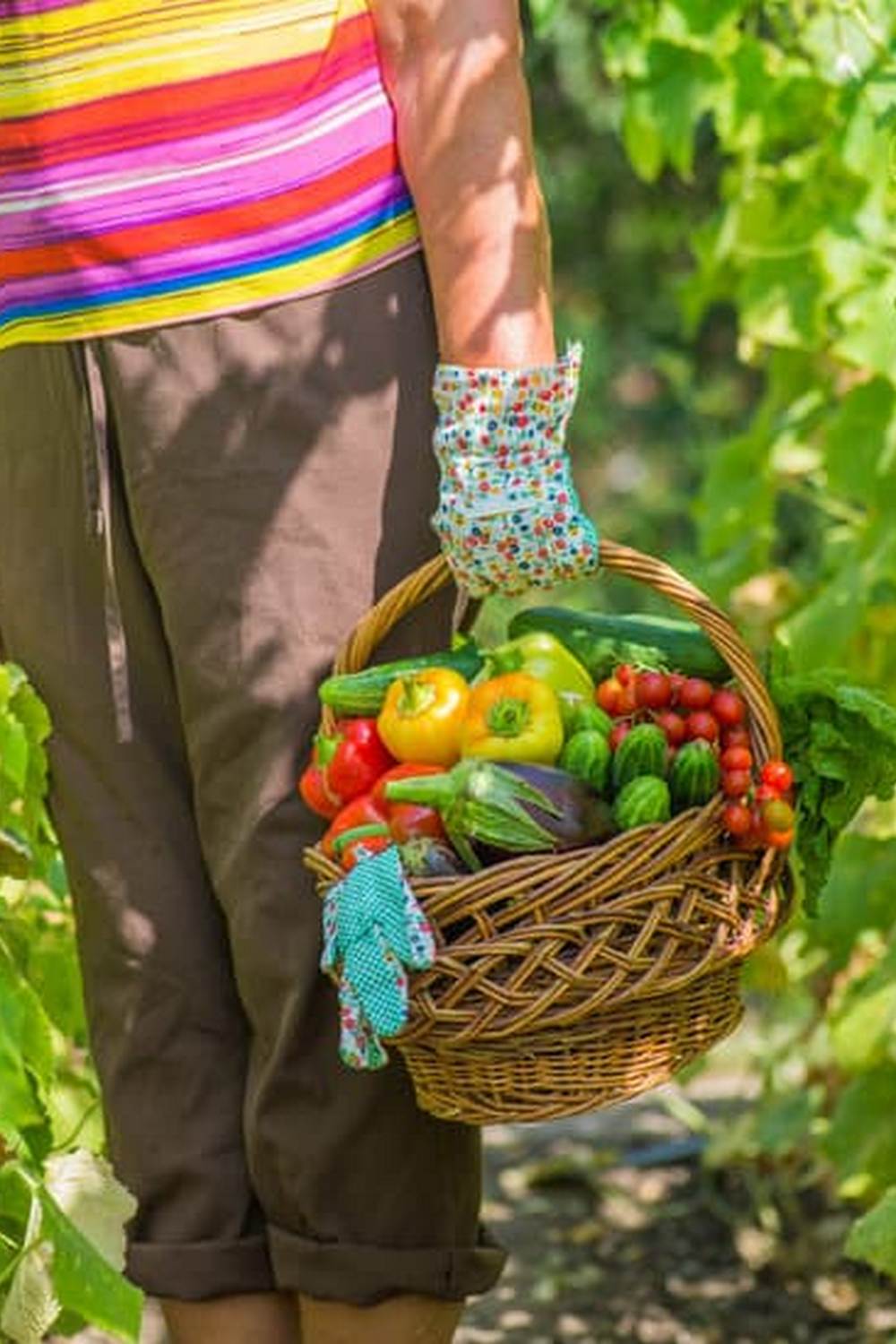 Raised Beds, Square Foot Gardening, Container Gardening, Vertical Gardening, and Traditional Rows