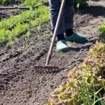 World'S Best Vegetable Gardening Ideas Explore top-notch vegetable gardening ideas for the world's best harvest. Get inspired