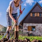 small space vegetable gardening guide with tips for success