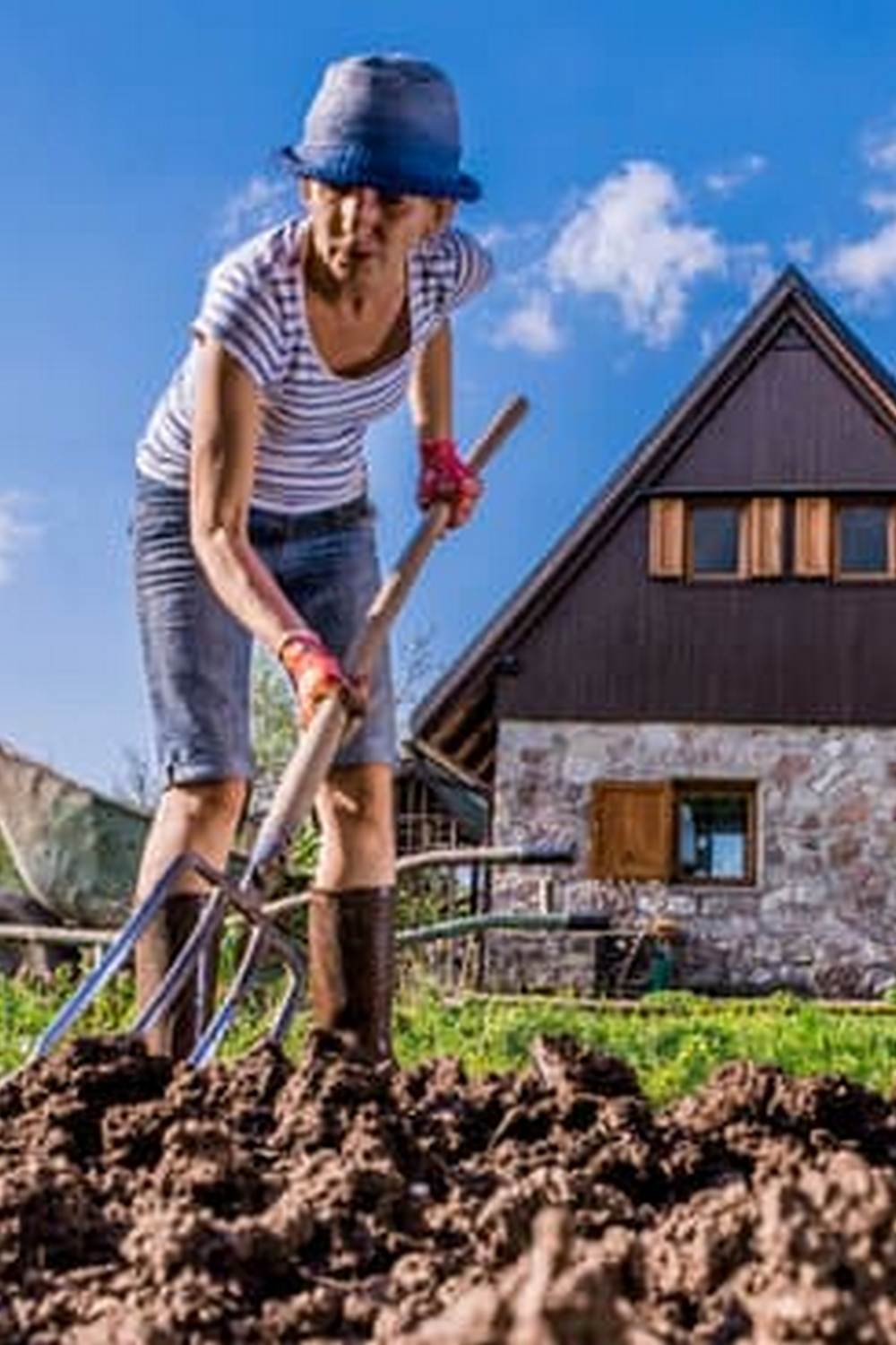 small space vegetable gardening guide with tips for success