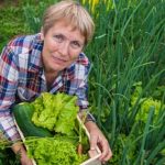 Opt for eco-friendly Milorganite for vegetable gardening with reliable results