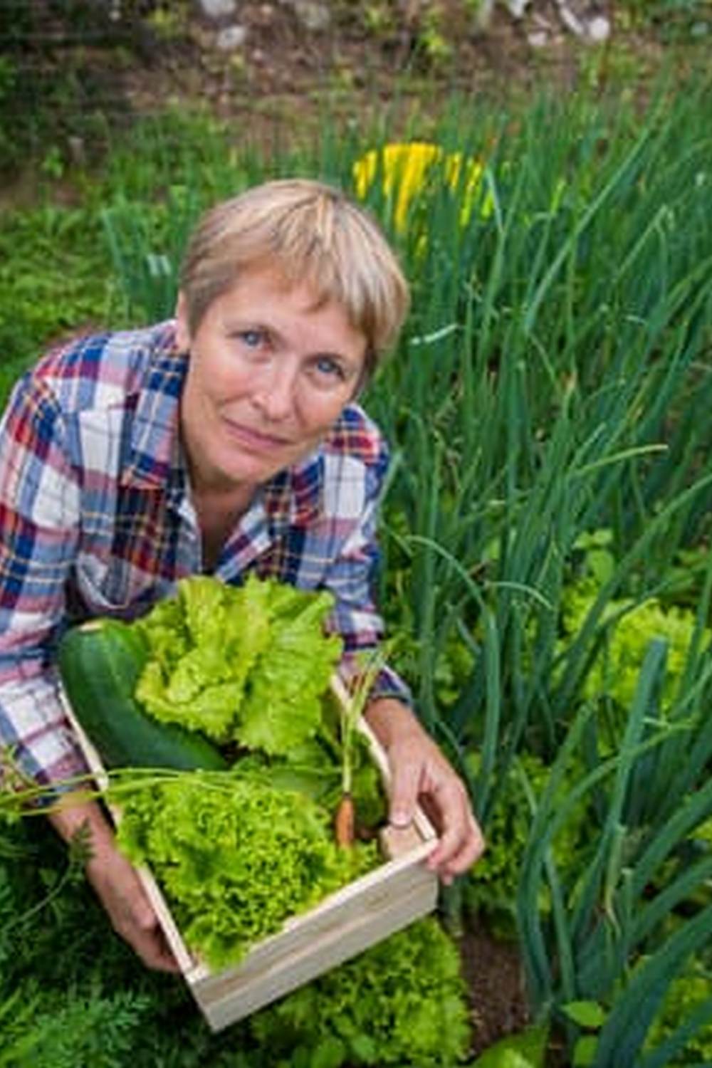 Opt for eco-friendly Milorganite for vegetable gardening with reliable results