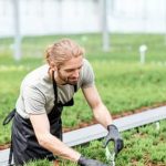 Easy Vegetable Gardening organic raised beds with drip irrigation system for minimal maintenance