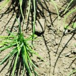 a guide for stunning outdoor spaces