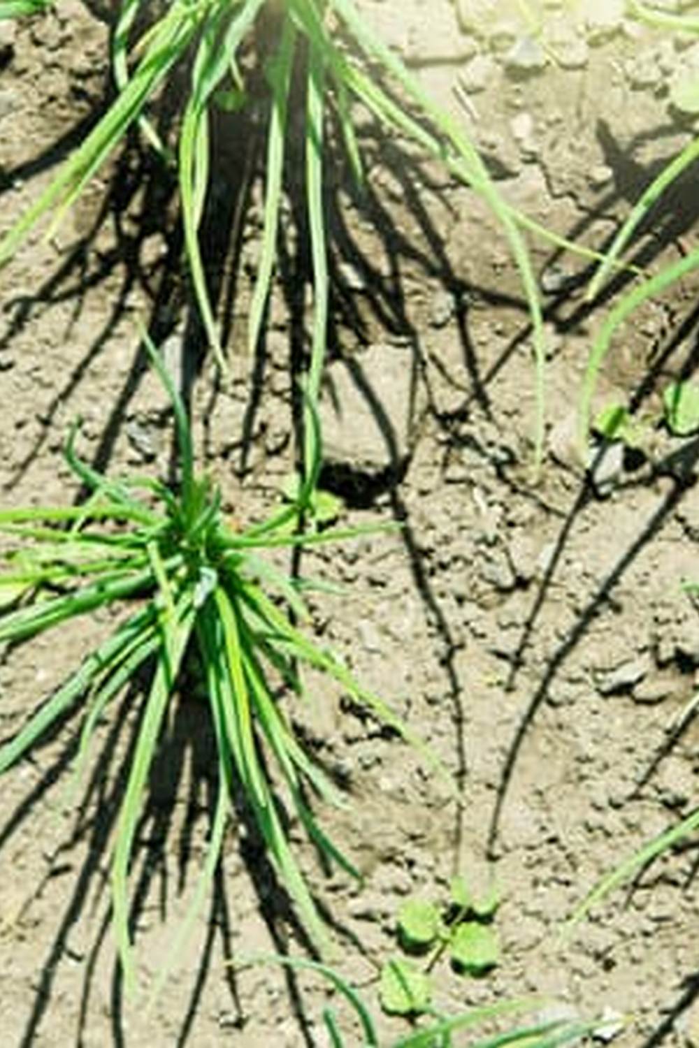 a guide for stunning outdoor spaces