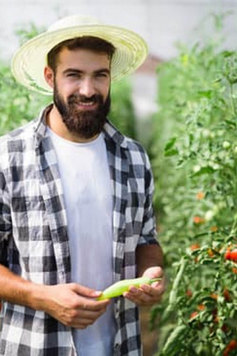 Brighten your indoor garden with GROW LIGHTS FOR INDOOR VEGETABLE GARDENS to support healthy plant growth