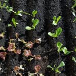 maximizing space and productivity with limited resources