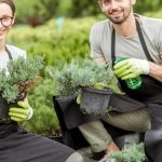 'Vegetable Gardening eBook' with expert tips and techniques for beginners and experienced gardeners