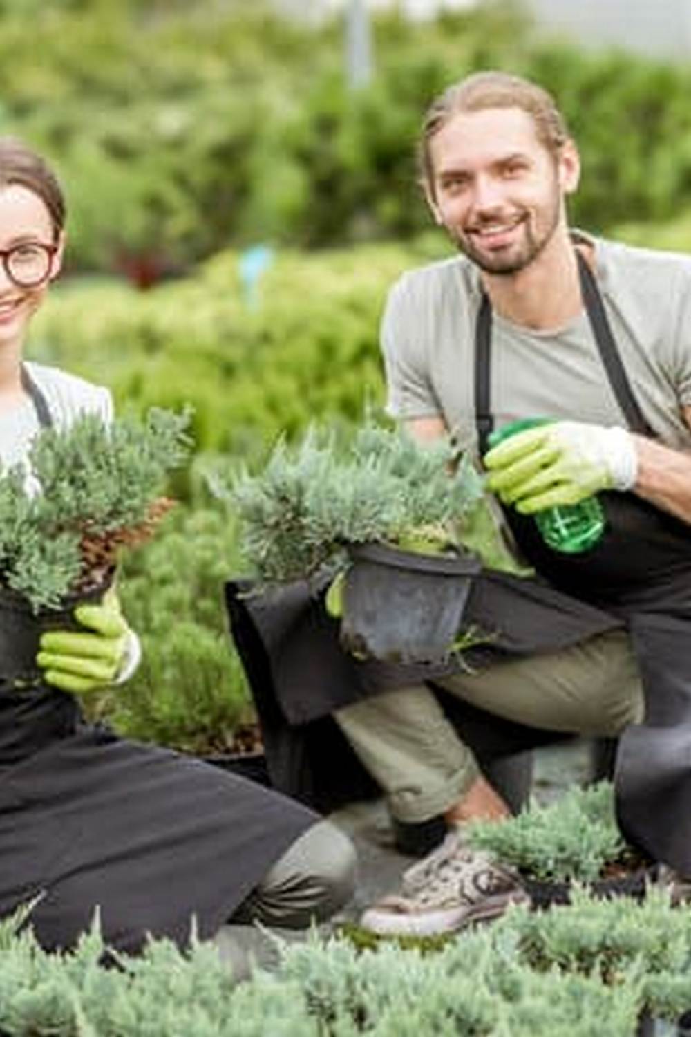 'Vegetable Gardening eBook' with expert tips and techniques for beginners and experienced gardeners
