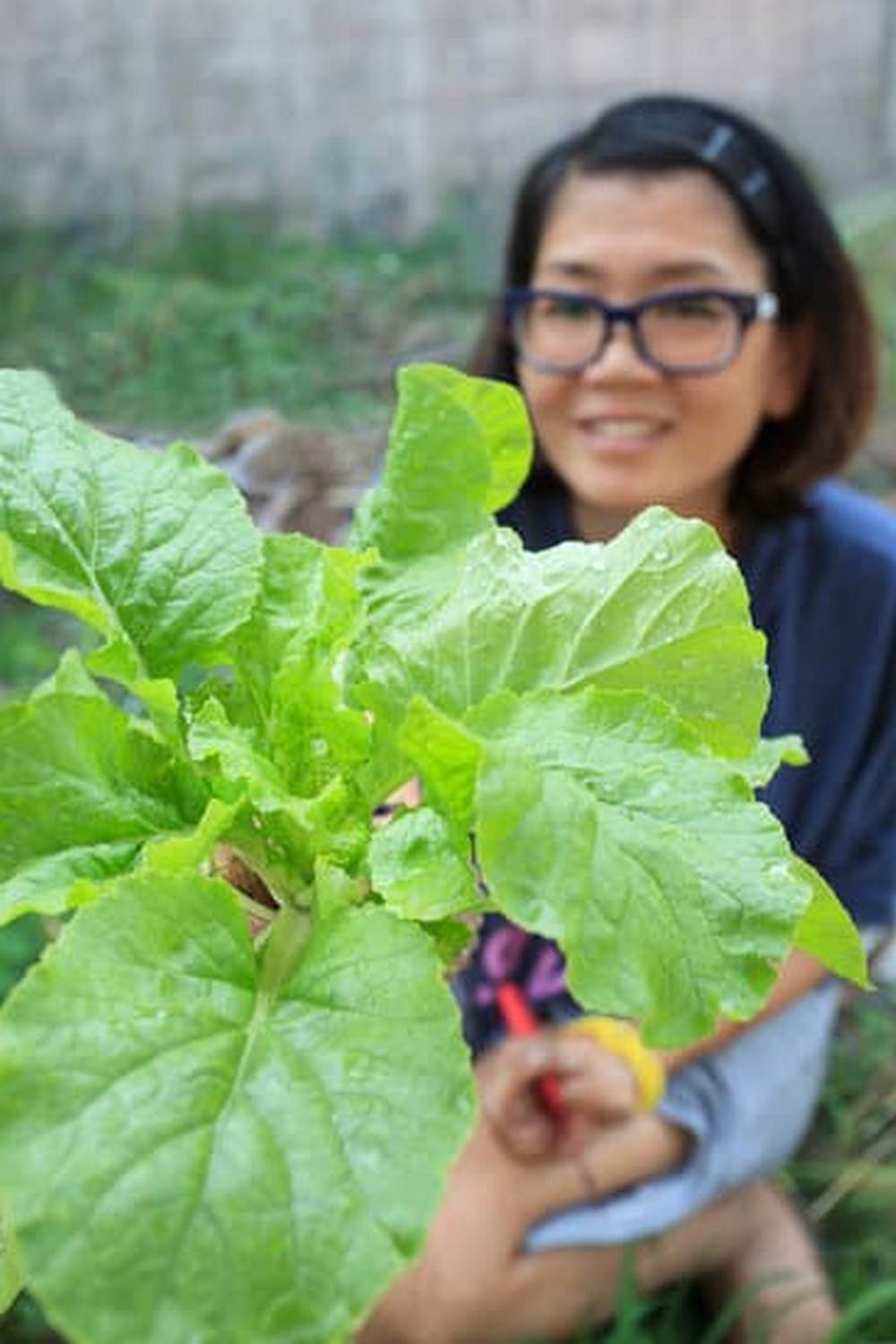 Expert advice on successful raised bed gardening techniques for bountiful vegetable harvests