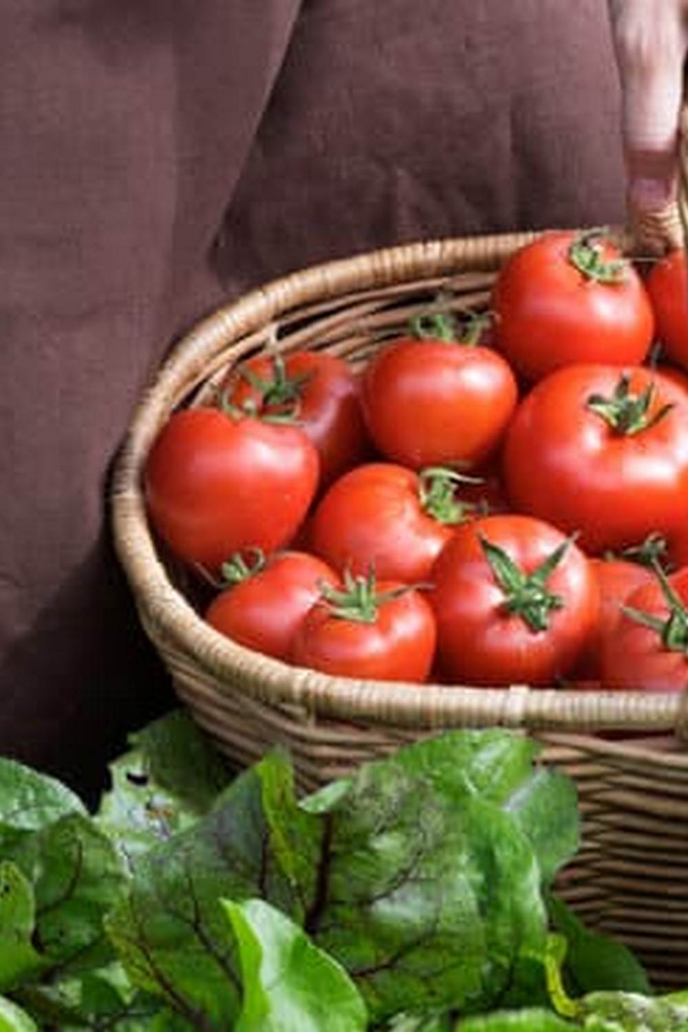 VEGETABLES THAT GROW WELL IN ARIZONA's unique climate