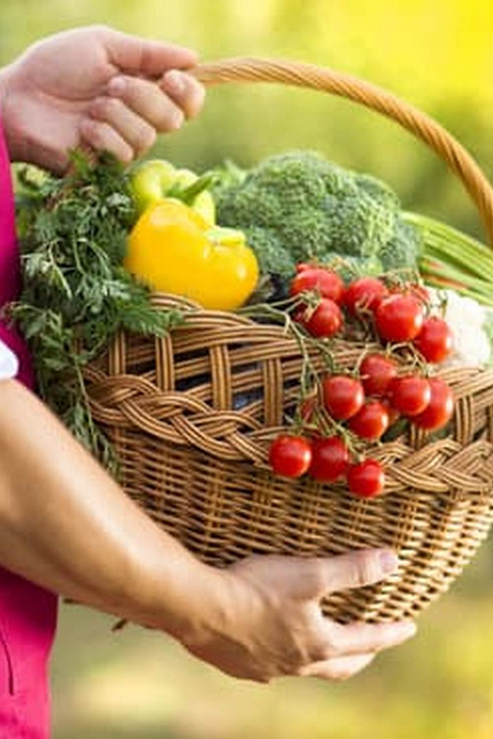 Transform your space with an Indoor Home Gardening DIY Indoor Vegetable Garden